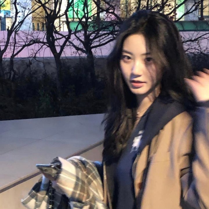 一条狗的回家路